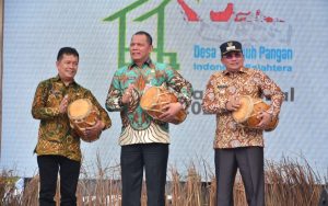 Village Expo di Cibeureum Kulon Semarakkan Hari Desa Nasional 2025