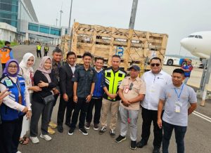 Pengiriman domba dari Australia sebanyak 900 Ekor ‘ DiBandara Internasional Jawa Barat (BIJB)